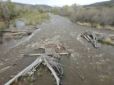 North Fork Upper Provo Spring 2023