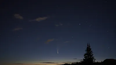 Neowise 2020