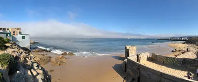 Beach Fog