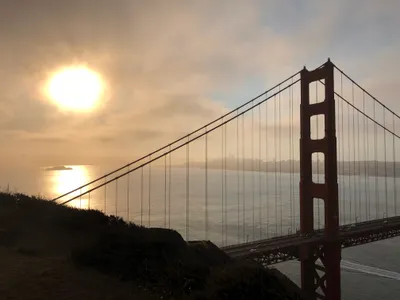 SF